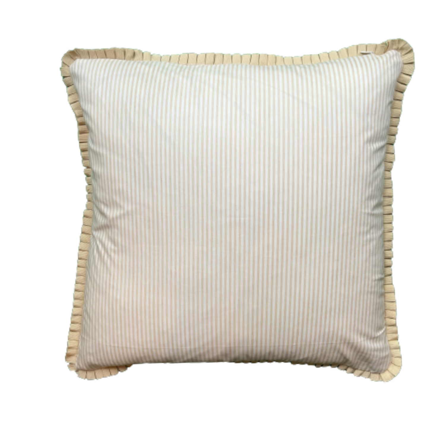 Pale Aqua Chinoiserie Garden Scene 20 x 20 Decorative Pillow with Down Feather Insert