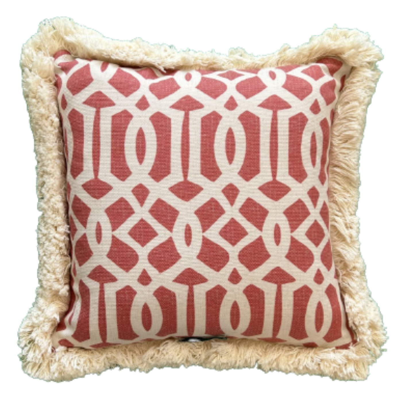 Dramatic Natural Coral Italian Cotton Print 16 x 16 Designer Pillow with Down Feather Insert
