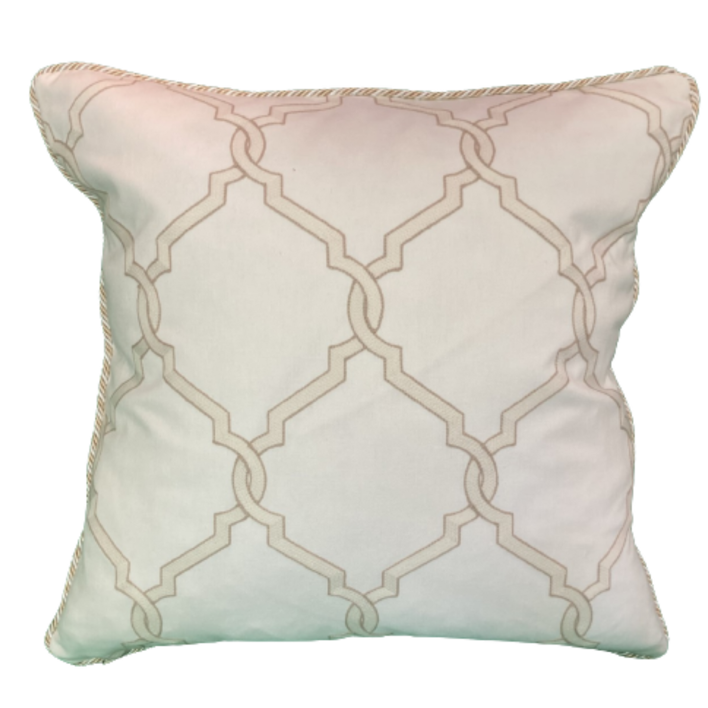 Summer Garden Aqua Blue 20 x 20 Square Decorative Pillow with Down Feather Insert