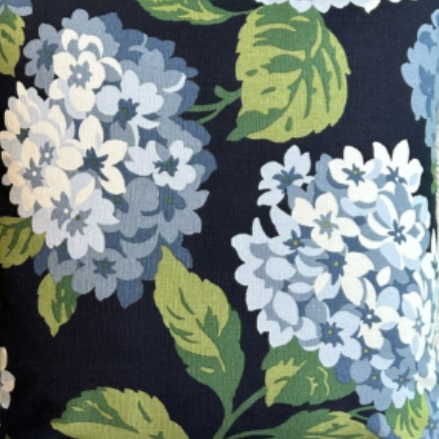 Summer Wind Midnight Hydrangea and Toile 16 X 16 Square Designer Pillow Sides with Down Feather Insert