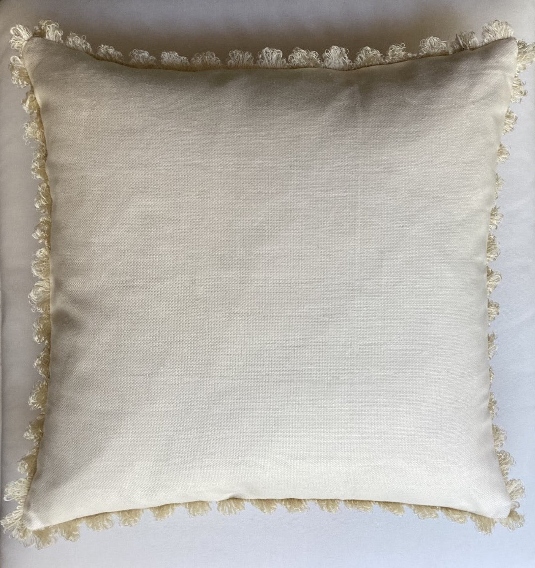 Trentham Hall by Lee Jofa 20 x 20 square Inches Decorative Pillow with Brunschwig Trim and Down Feather Insert