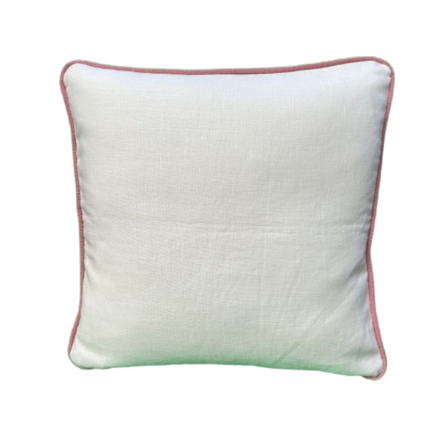 Grace Powder Blue by Rose Cumming  21 x 21 Decorative Pillow with Down/Feather Insert