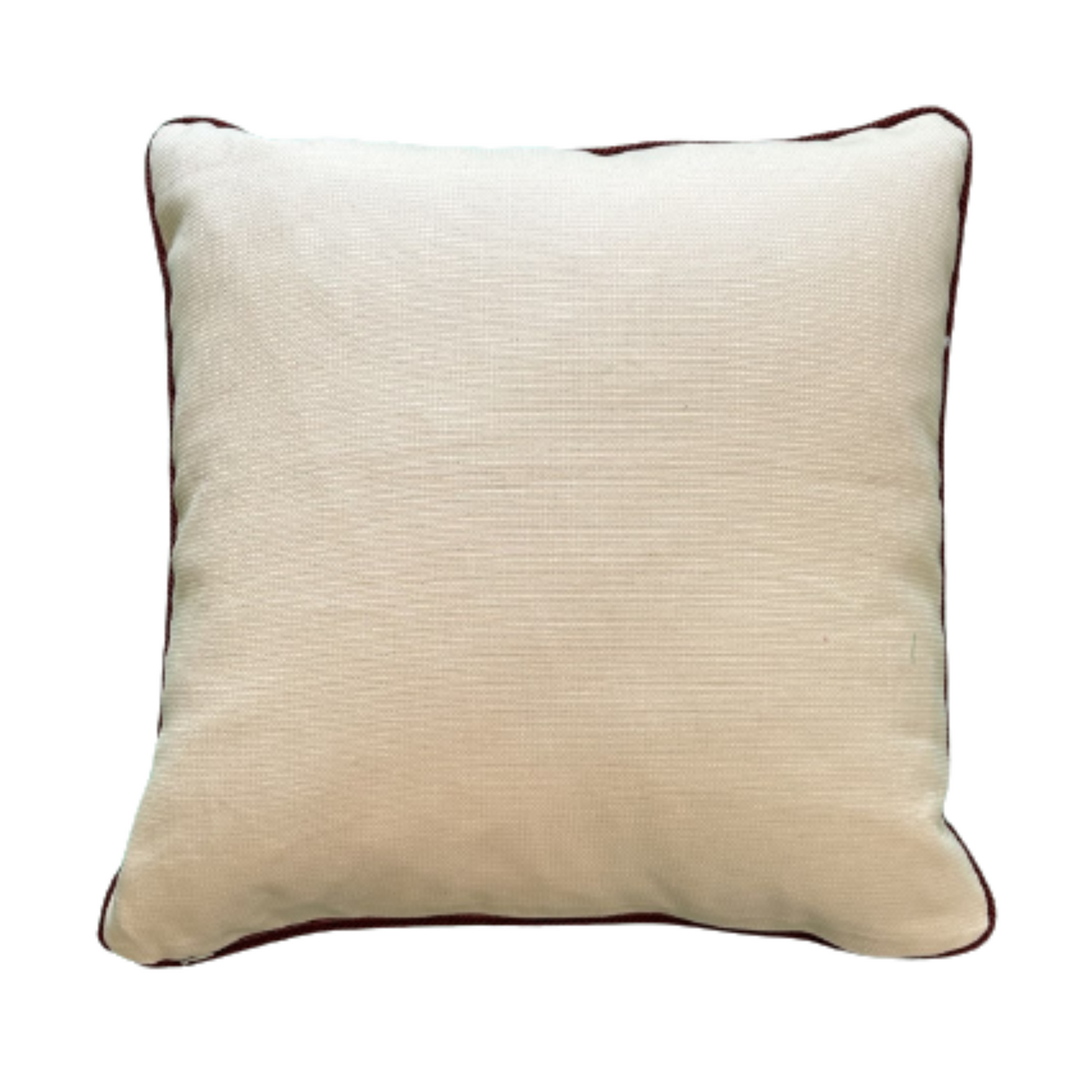Priya Les Indiennes 20 x 20 Decorative Pillow with Down Feather Insert