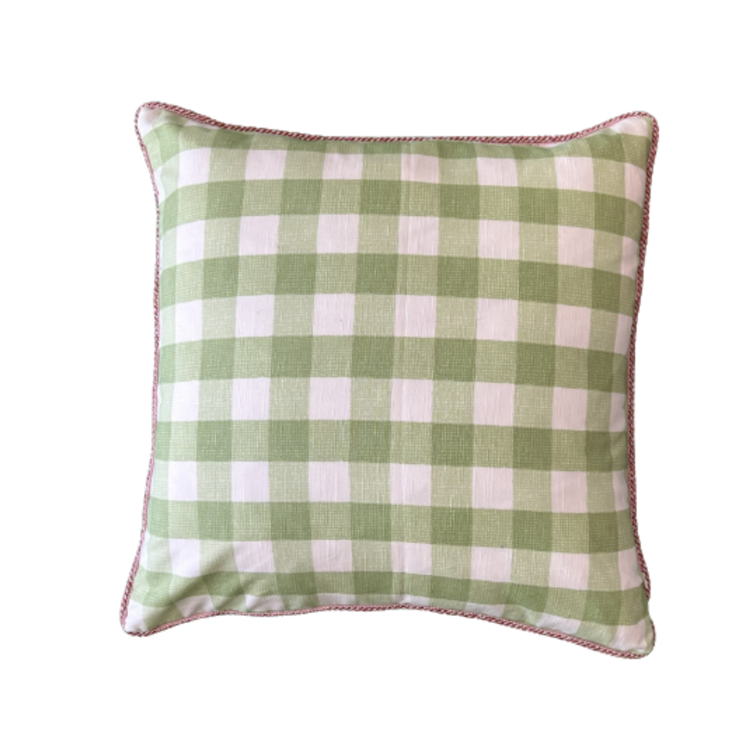 Charming Pink and Green Garden Bugs 24 x 24 Square Designer Pillow Front with Down Feather Insert