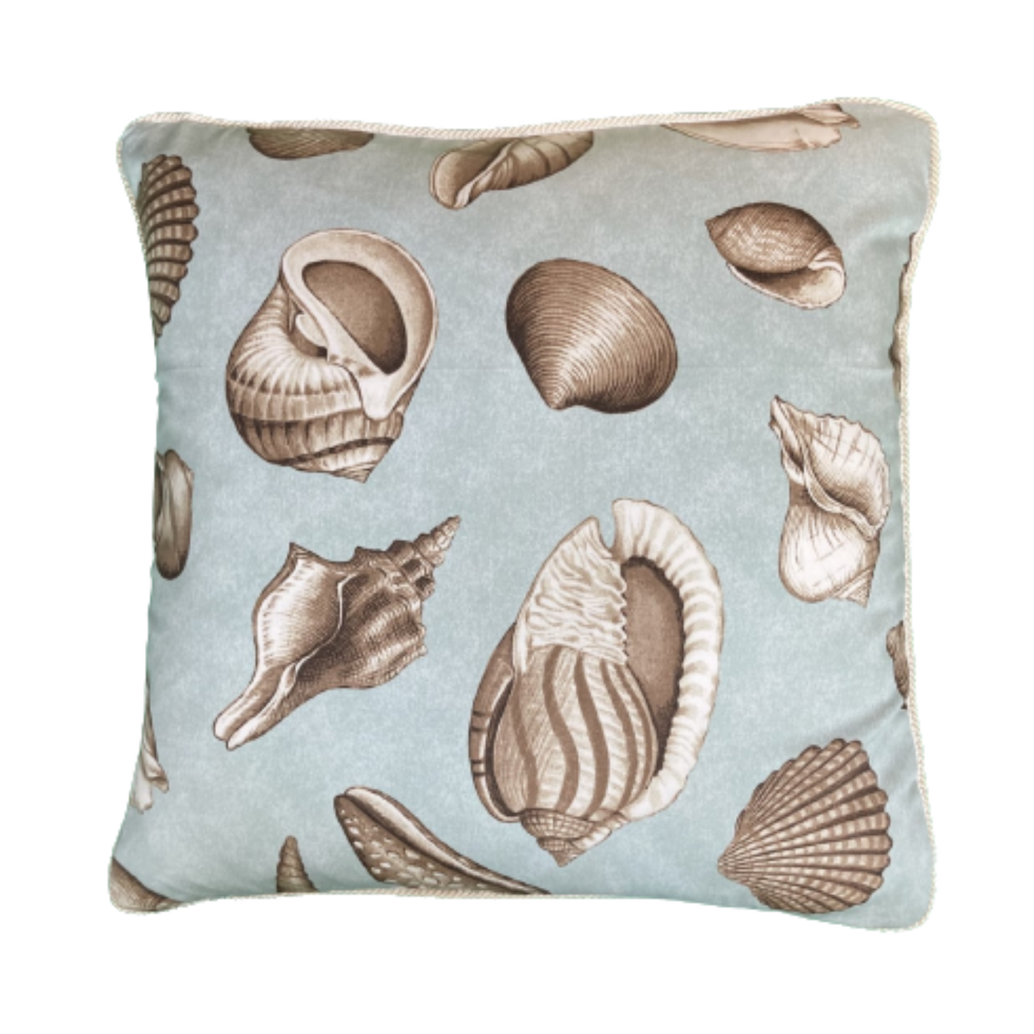 Shell Collector Surf Green Vintage 18 x 18 Square Decorative Decorative Pillow with Down Feather Insert