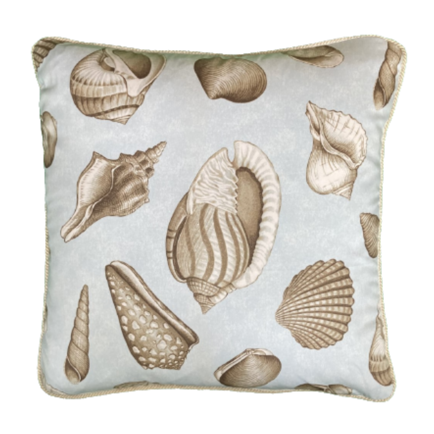 Shell Collector Water Blue Vintage 18 x 18 Square Decorative Decorative Pillow with Down Feather Insert