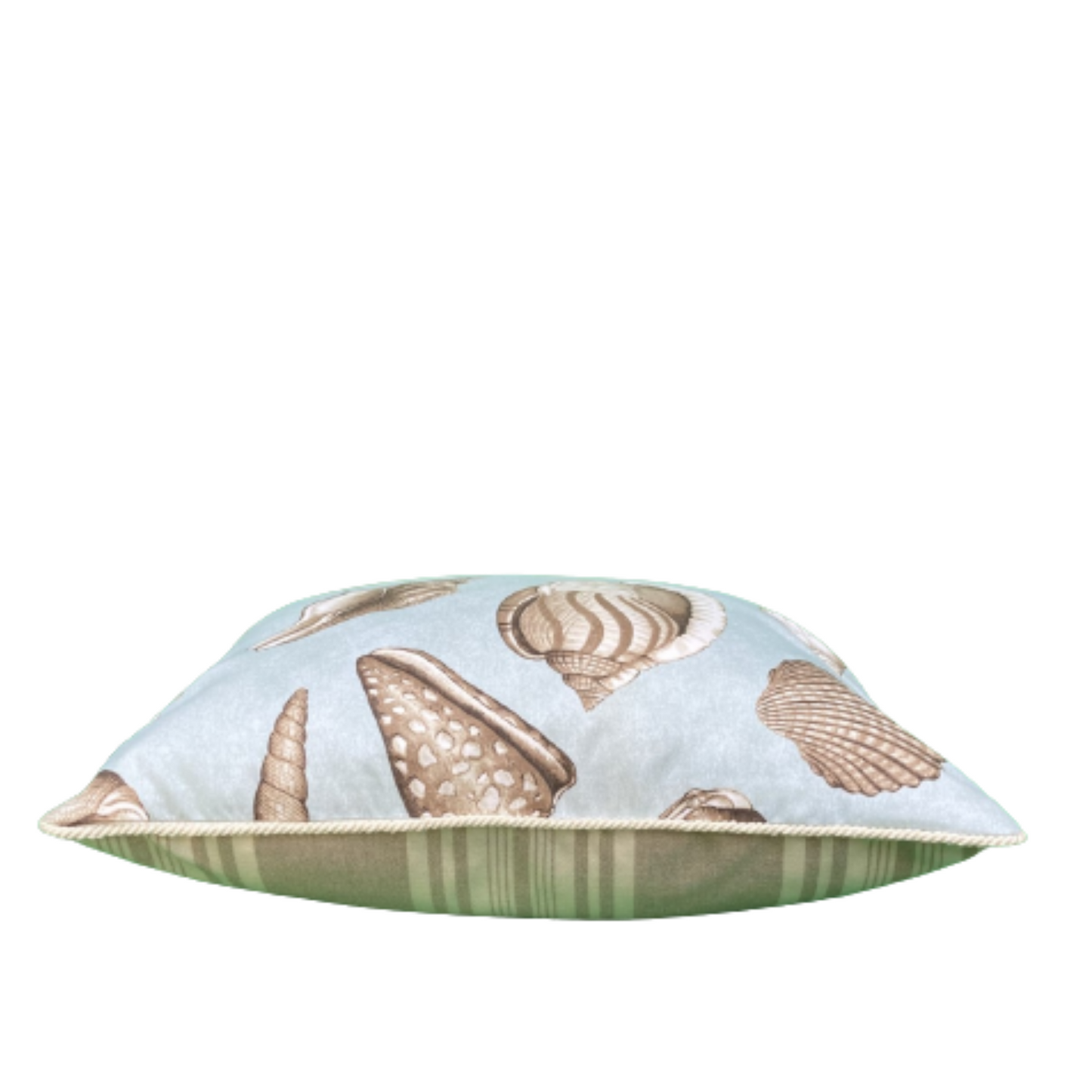 Shell Collector Surf Green Vintage 18 x 18 Square Decorative Decorative Pillow with Down Feather Insert
