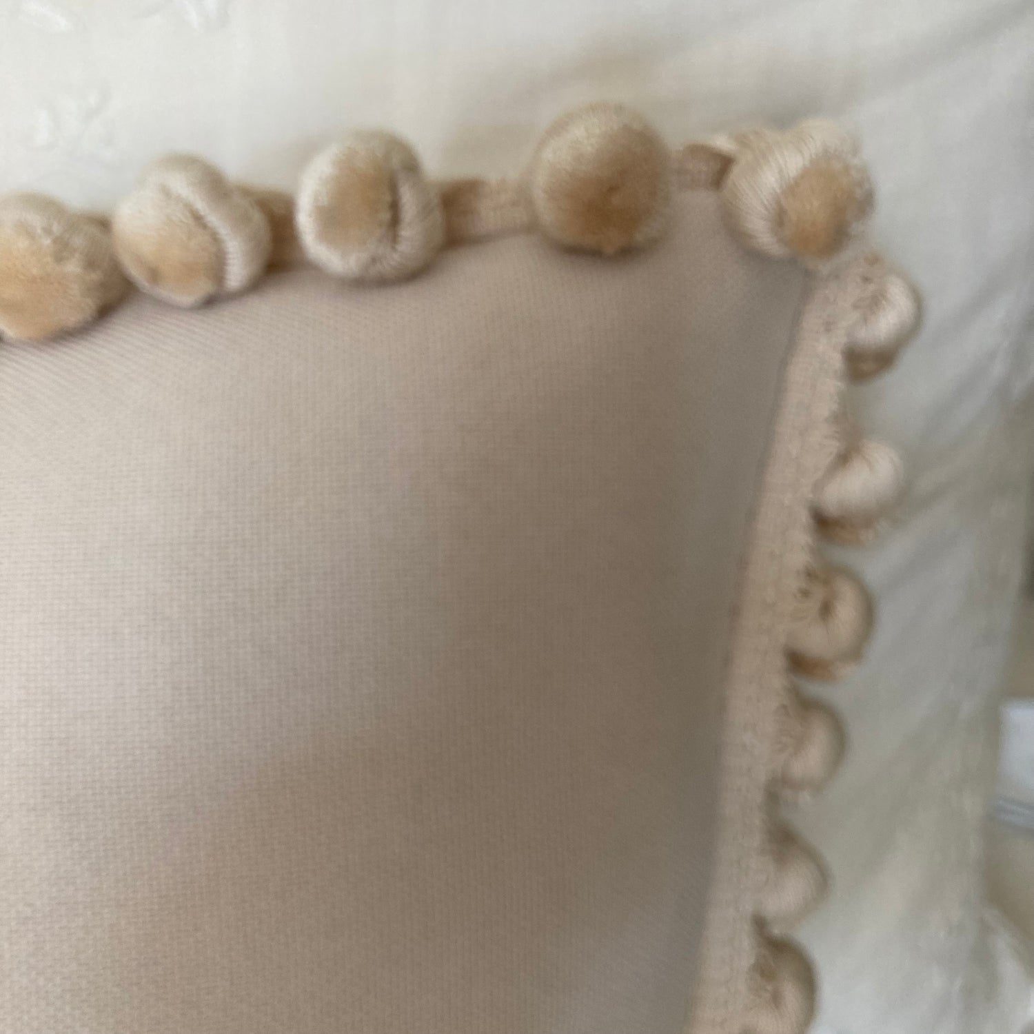 Flore Embroidered Contemporary Neutral 16 X 16 Square Designer Manuel Canovas Pillow Trim with Down Feather 